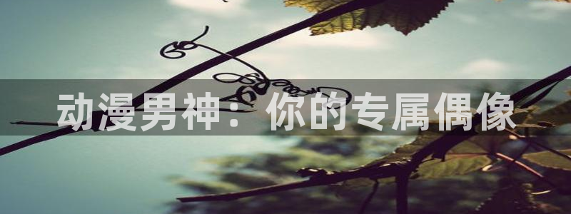 91动漫破解版nba下载