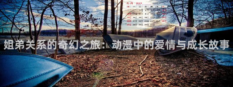 91动漫合集：姐弟关系的奇幻之旅：动漫中的爱情与成长故事