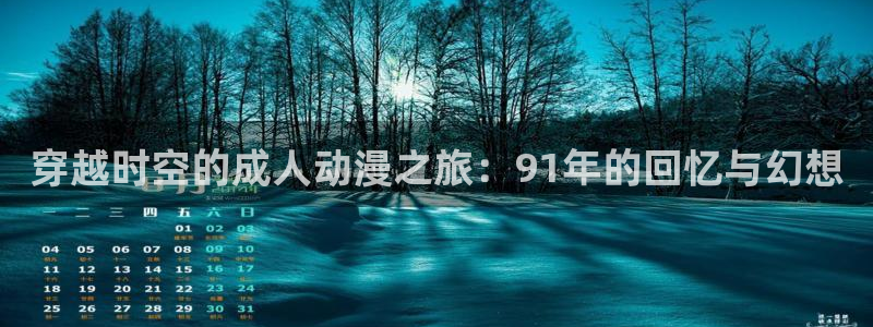 91动漫视频下载：穿越时空的成人动漫之旅：91年的回忆与幻想